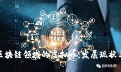 全面解析区块链领域的虚拟币：发展现状与未来